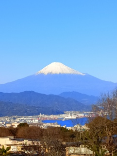 2026�N�����܂��Ă��߂łƂ��������܂�