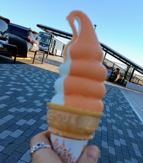 �݂���\�t�g�N���[��