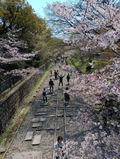 �v���Ă����G�ƈႤ�c�I