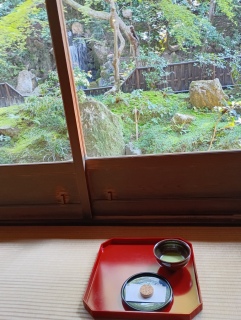 ��T���̌䒃�َq