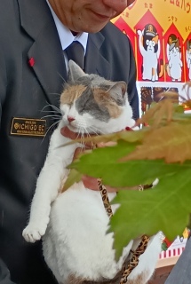 ῂ����j���I